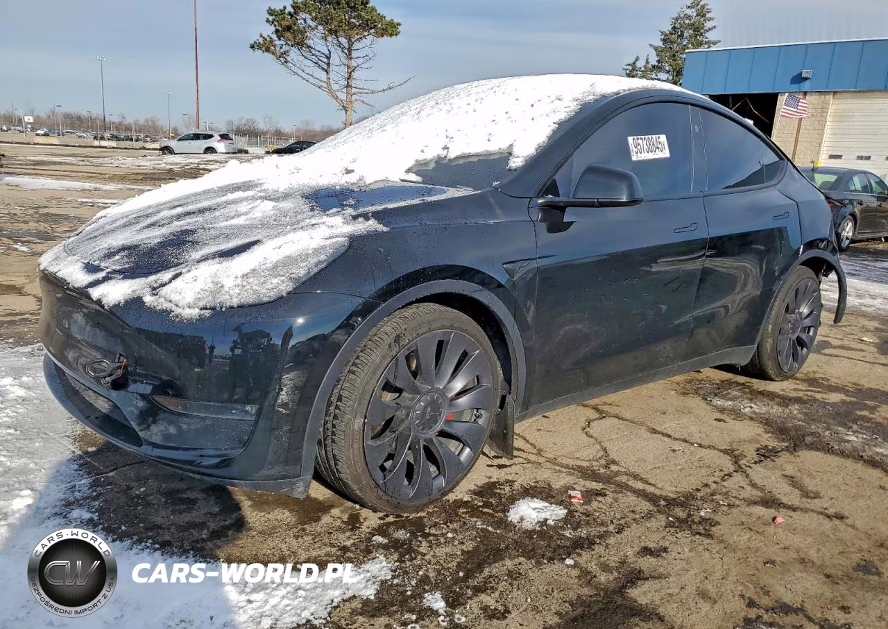 2024 Tesla Model Y
