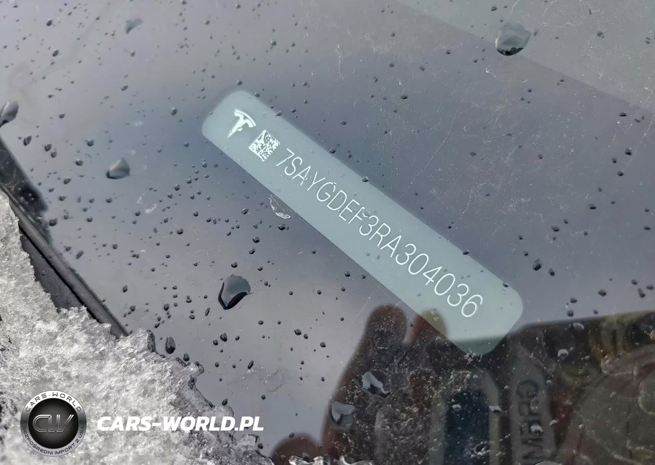 2024 Tesla Model Y VIN:7SAYGDEF3RA304036 - 12