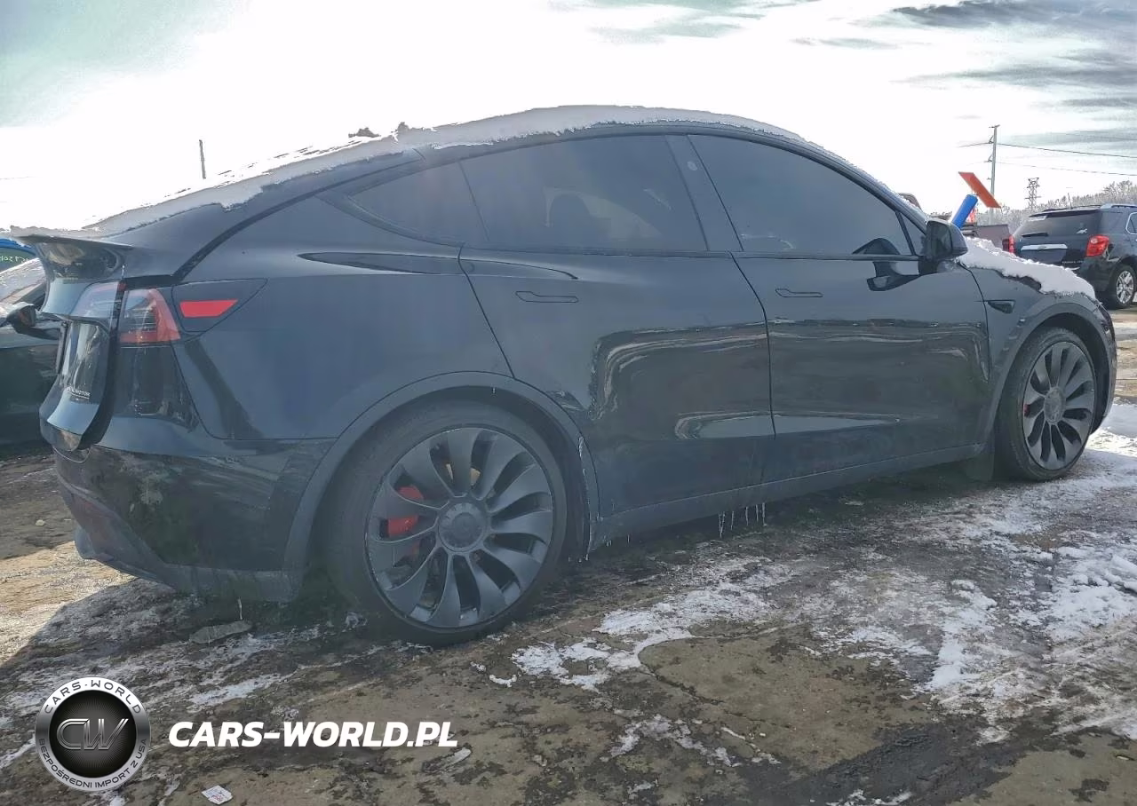 2024 Tesla Model Y VIN:7SAYGDEF3RA304036 - 3