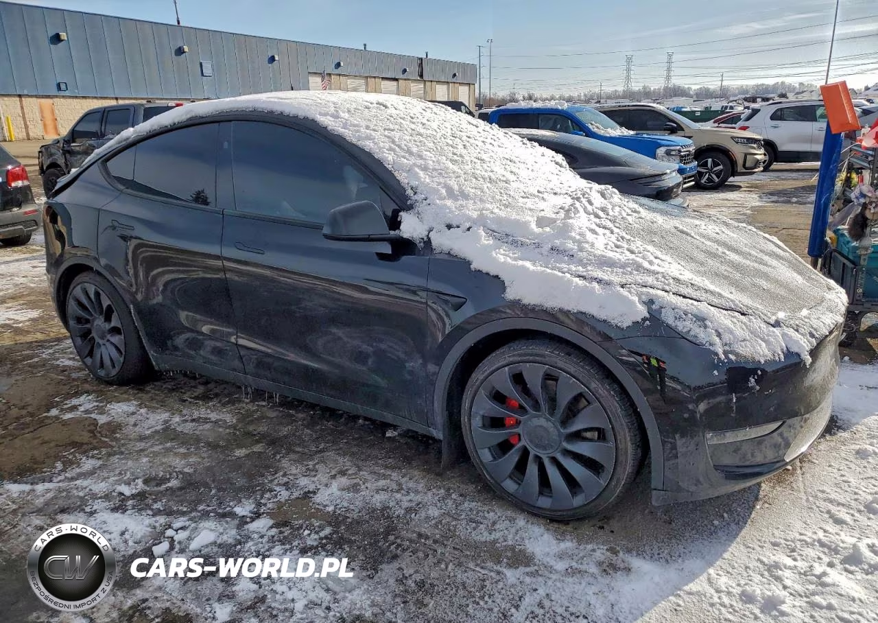 2024 Tesla Model Y VIN:7SAYGDEF3RA304036 - 4