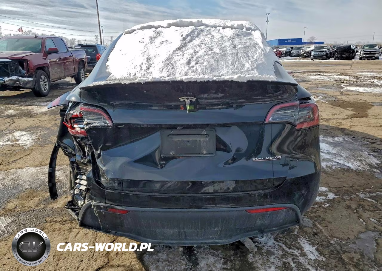 2024 Tesla Model Y VIN:7SAYGDEF3RA304036 - 6