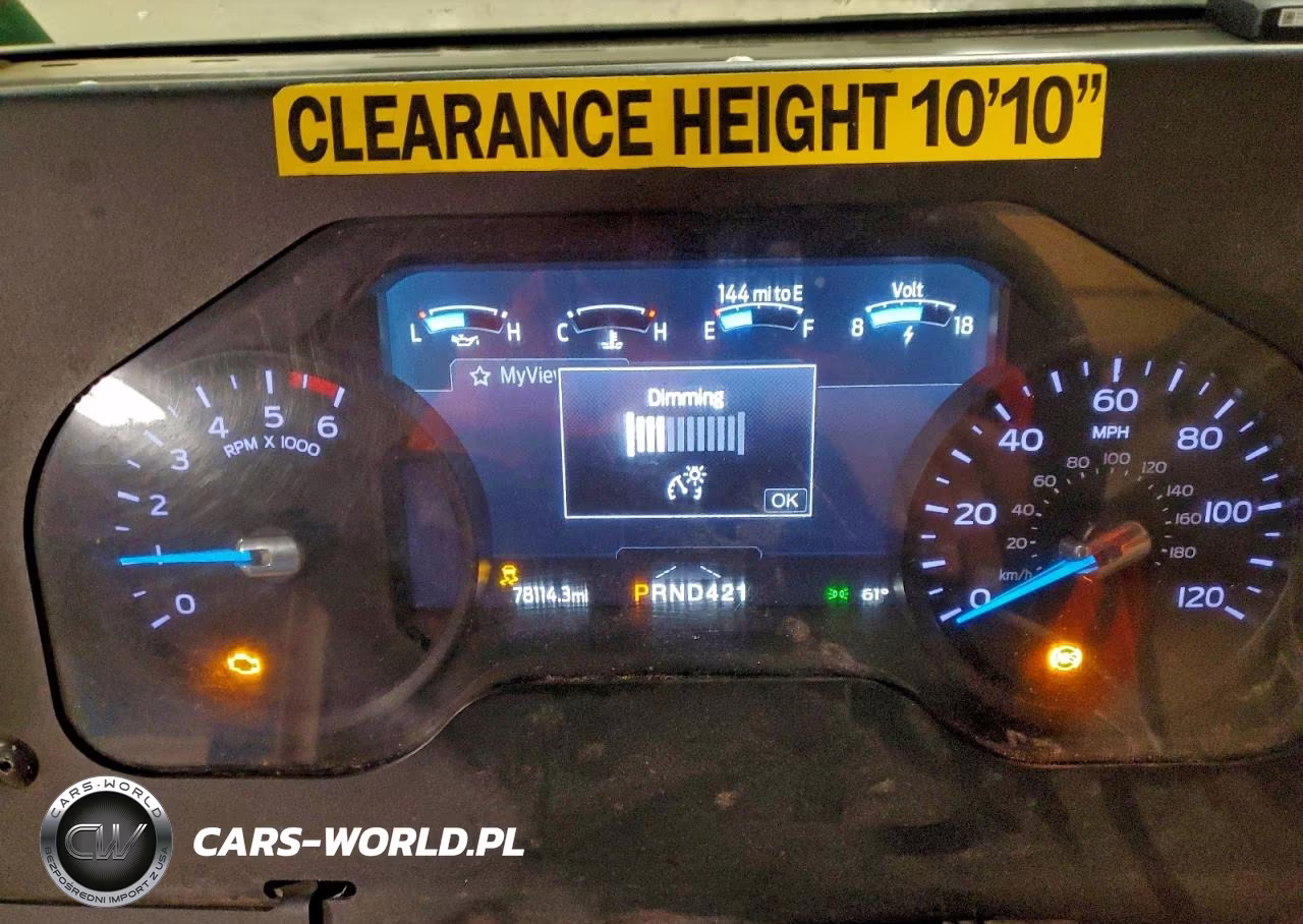 2020 Ford Commercial Chassis Delivery Truck VIN:1F65F5KN6L0A06273 - 9
