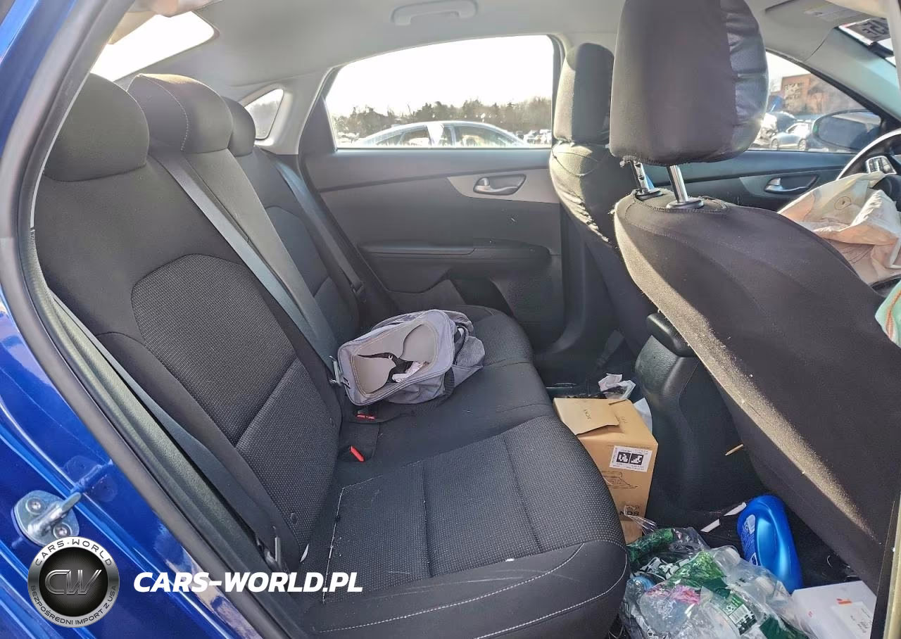 2020 Kia Forte Fe VIN:3KPF24AD5LE262265 - 10