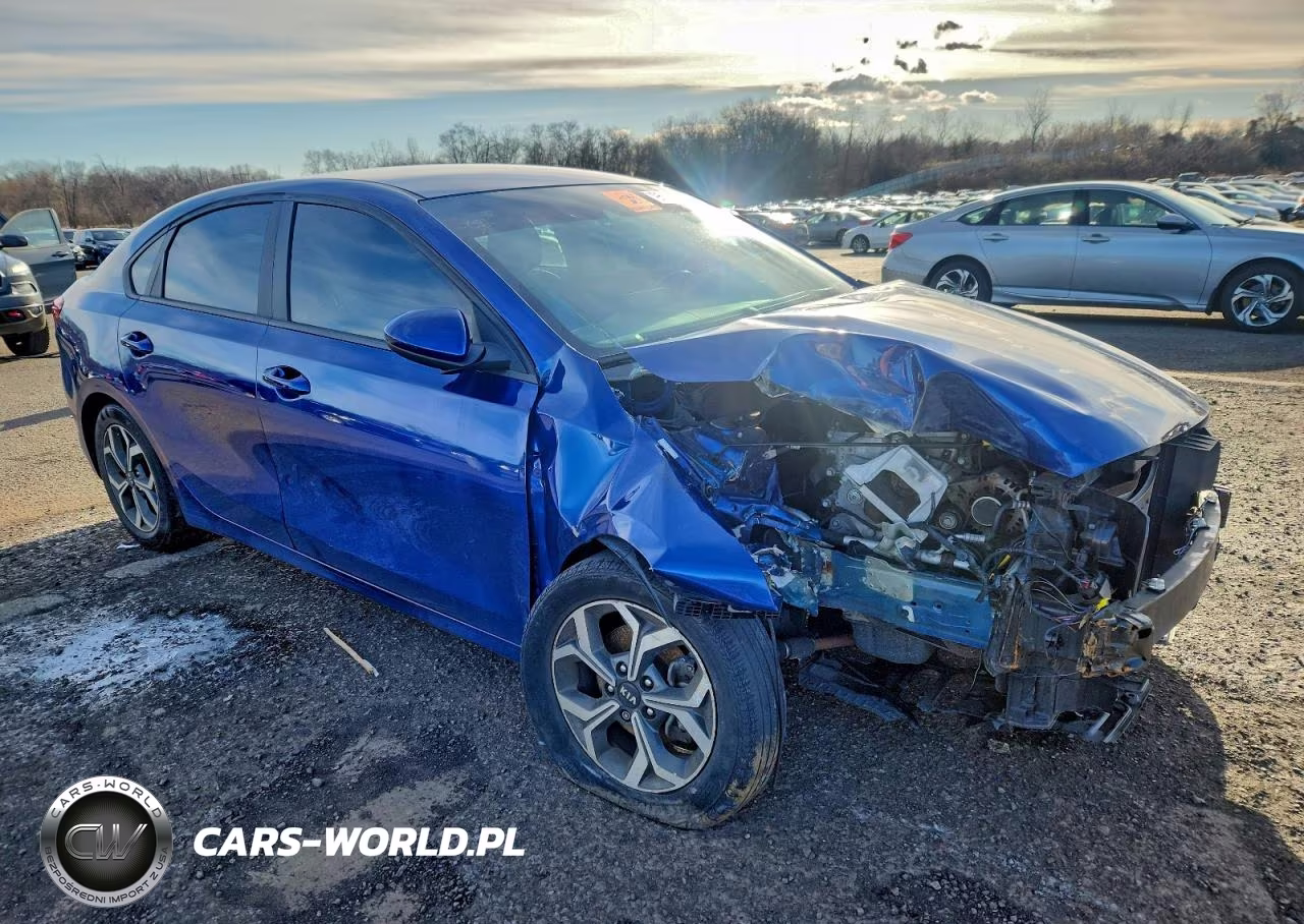 2020 Kia Forte Fe VIN:3KPF24AD5LE262265 - 4