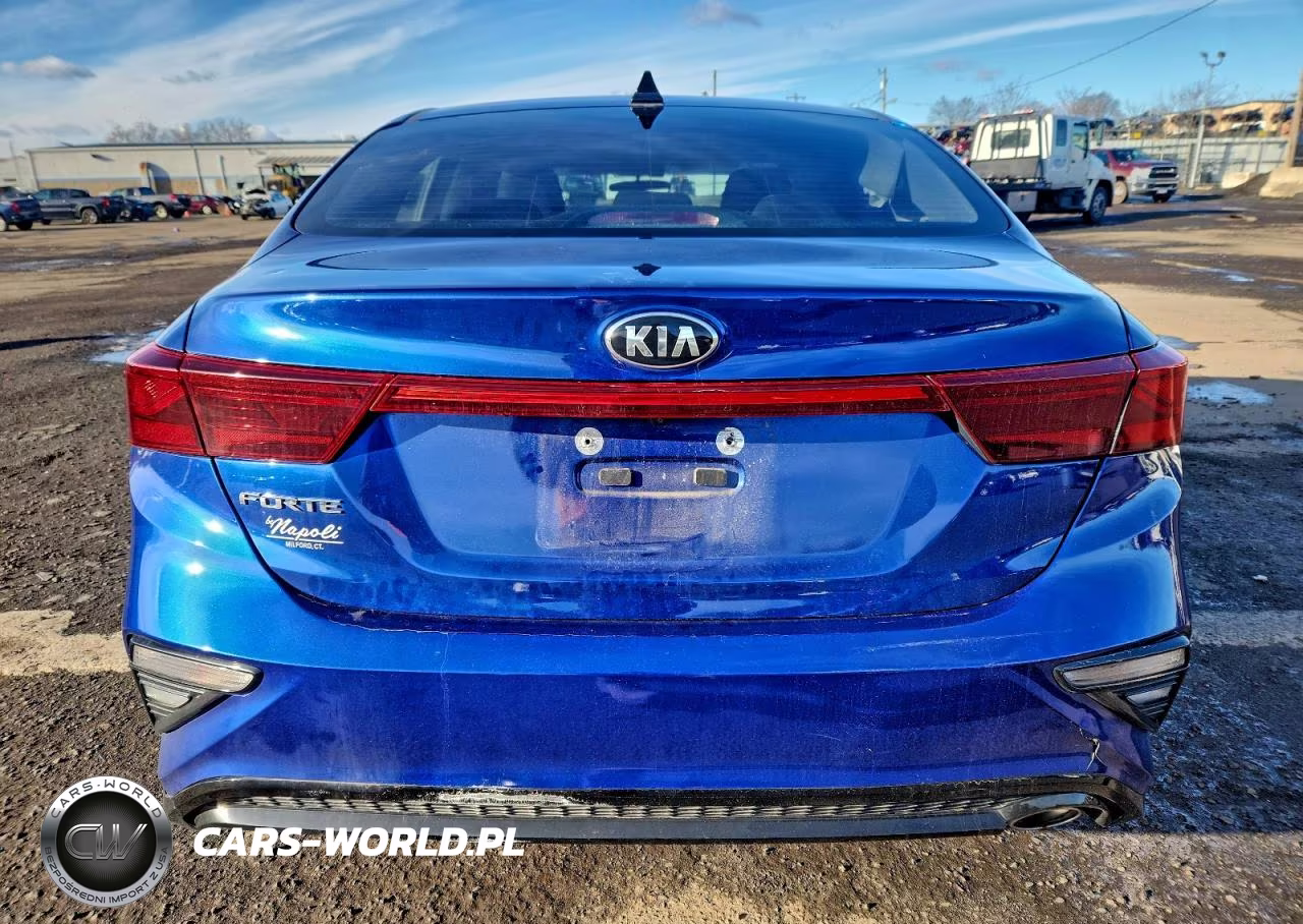 2020 Kia Forte Fe VIN:3KPF24AD5LE262265 - 6