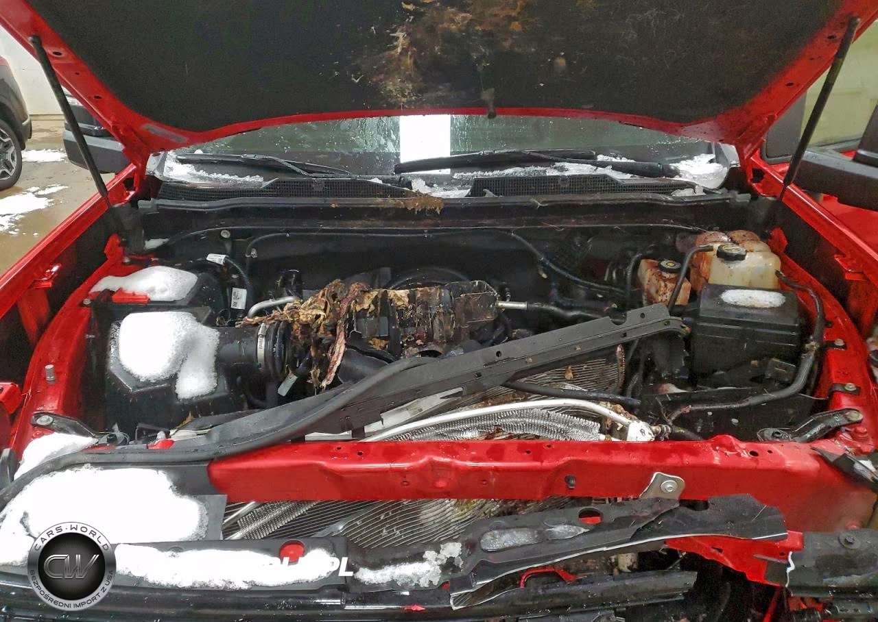 2024 Chevrolet Silverado K2500 Heavy Duty Lt VIN:2GC4YNE71R1268778 - 11