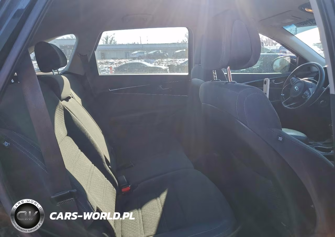 2016 Kia Sorento Lx VIN:5XYPGDA53GG104479 - 10