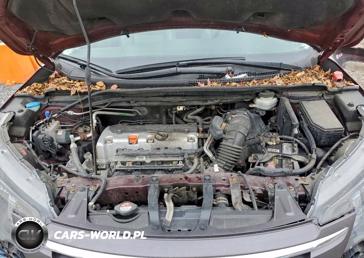 2013 Honda Cr-V Exl VIN:5J6RM4H76DL055331 - 12