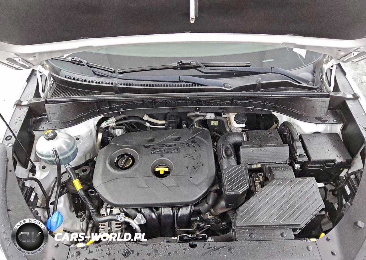 2019 Hyundai Tucson Limited VIN:KM8J33A42KU914739 - 11