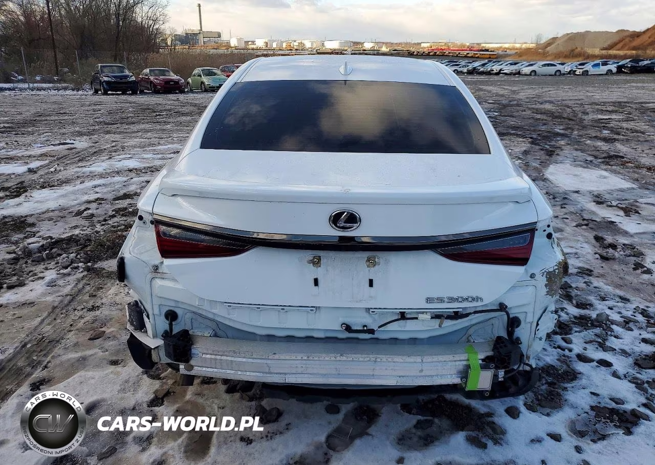 2024 Lexus Es 300H F Sport Handling VIN:58ABA1C15RU038771 - 6