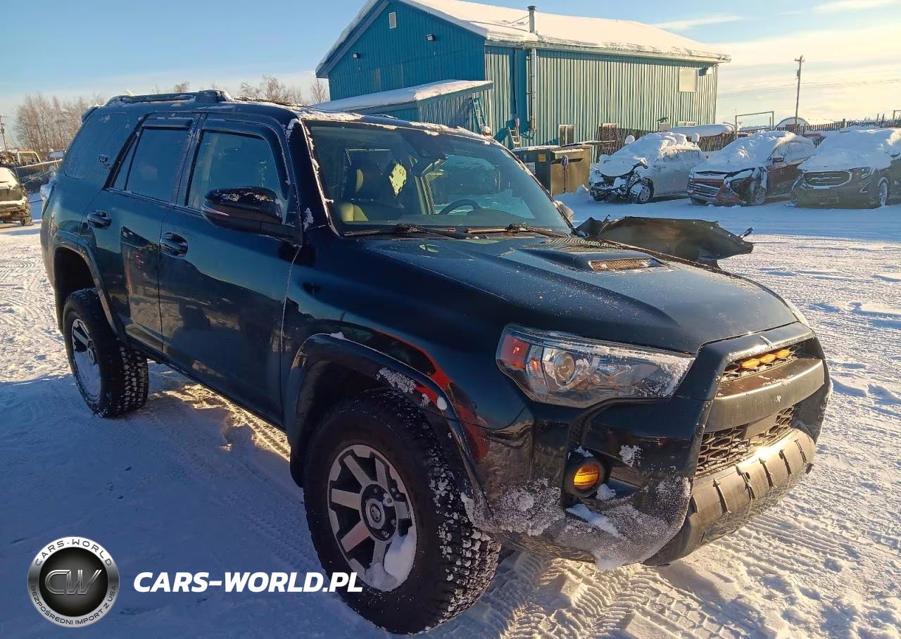 2020 Toyota 4Runner Trd Off Road Premium VIN:JTEBU5JR5L5809035 - 4