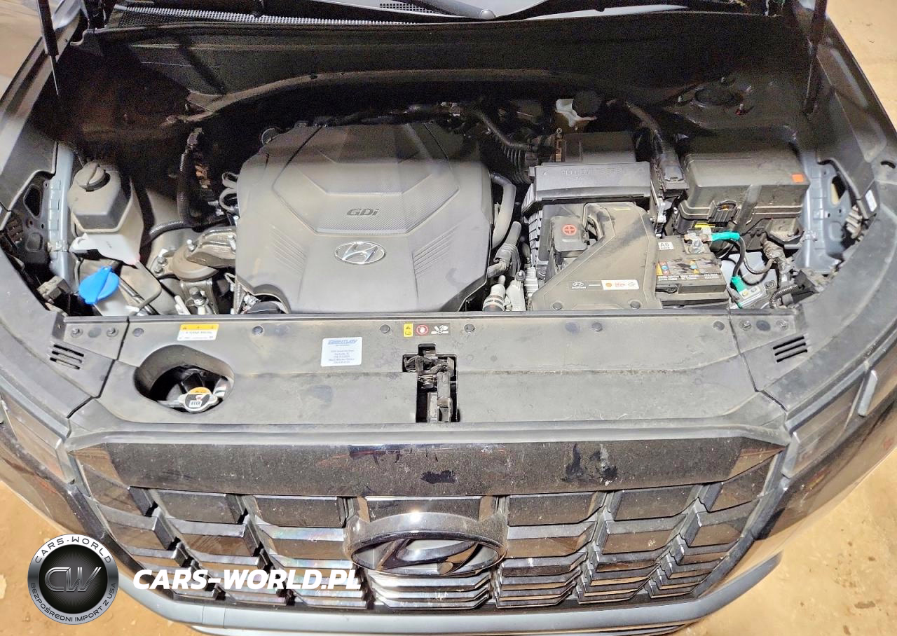 2024 Hyundai Palisade Sel Premium VIN:KM8R44GE9RU700573 - 11
