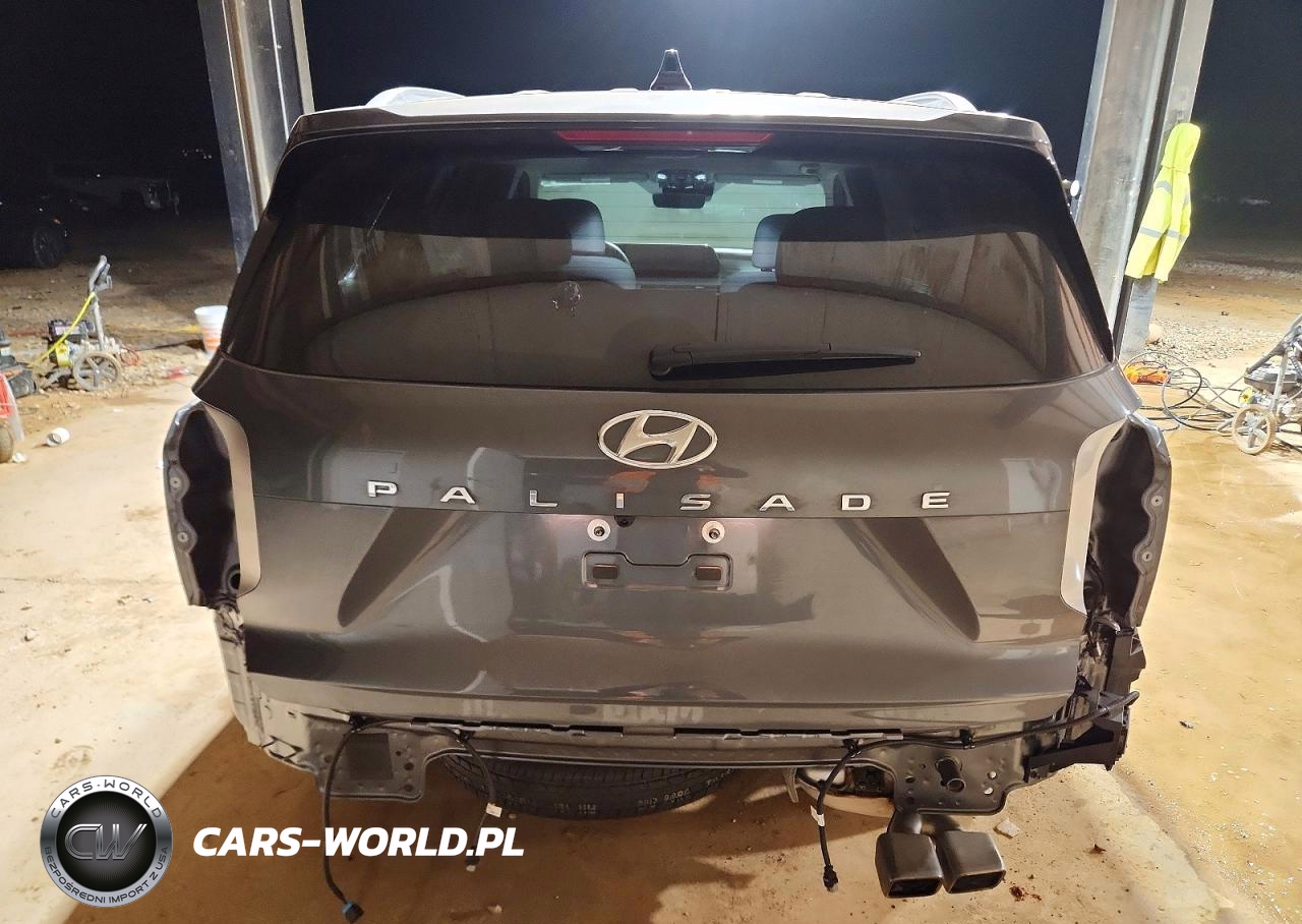2024 Hyundai Palisade Sel Premium VIN:KM8R44GE9RU700573 - 6