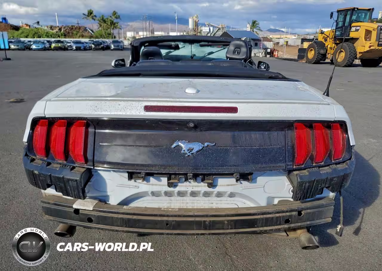 2020 Ford Mustang VIN:1FATP8UH7L5105980 - 6