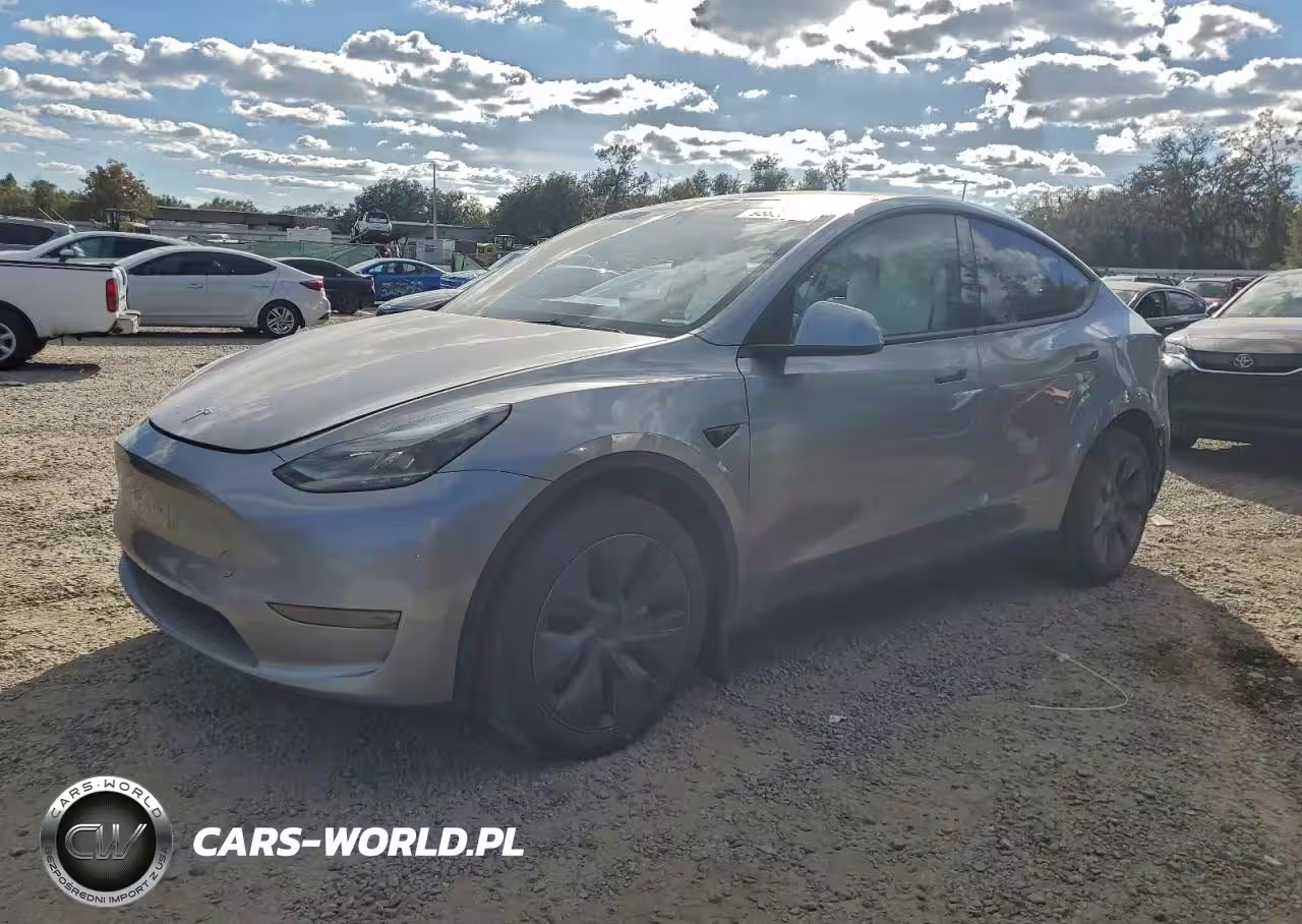 2024 Tesla Model Y