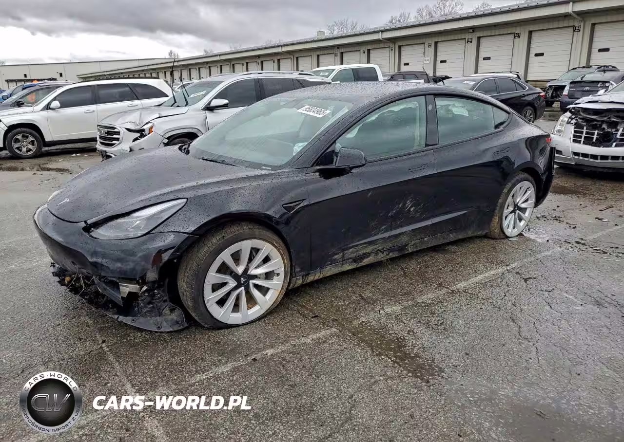 2023 Tesla Model 3