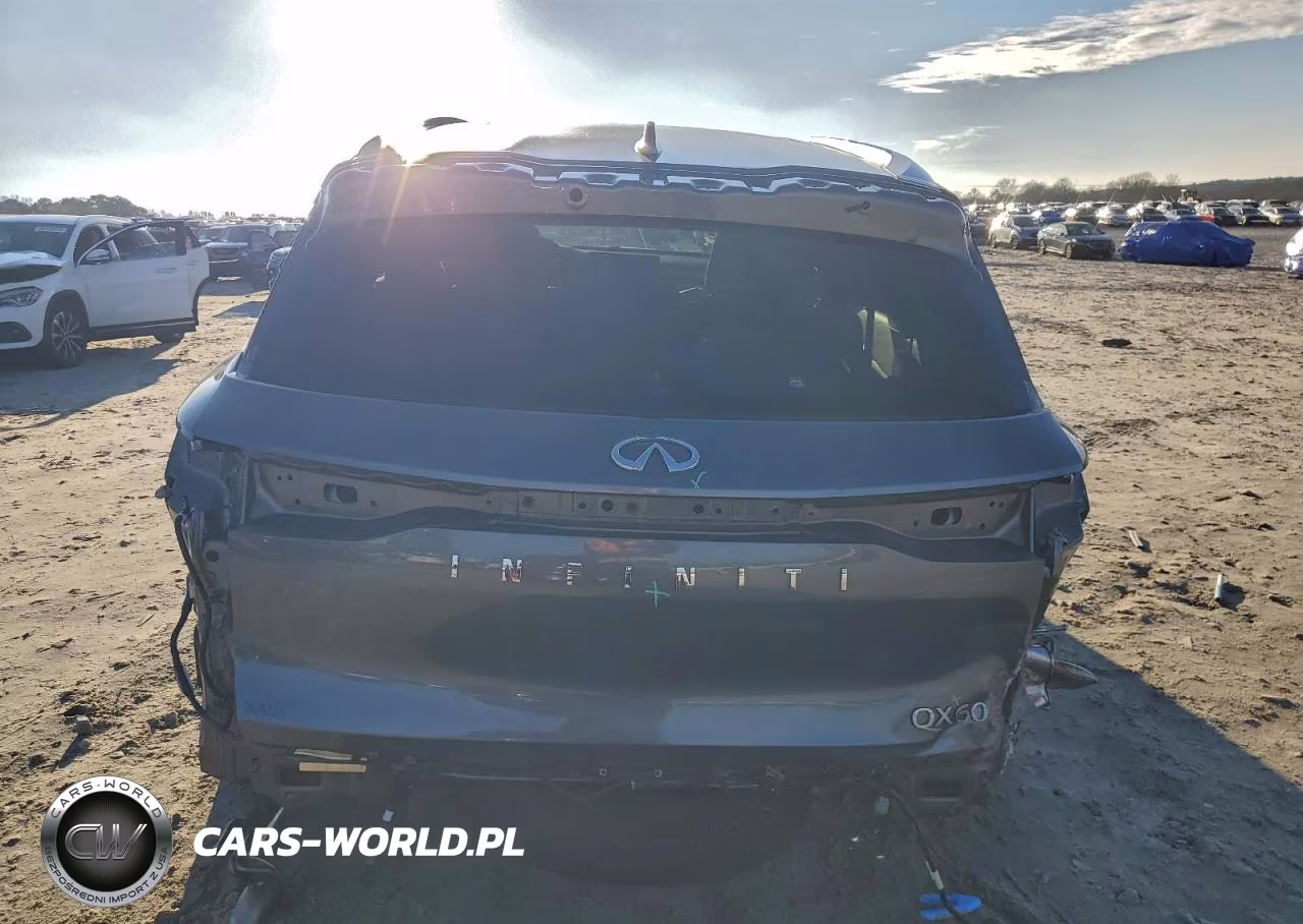 2025 Infiniti Qx60 Luxe VIN:5N1AL1FR8SC346169 - 6