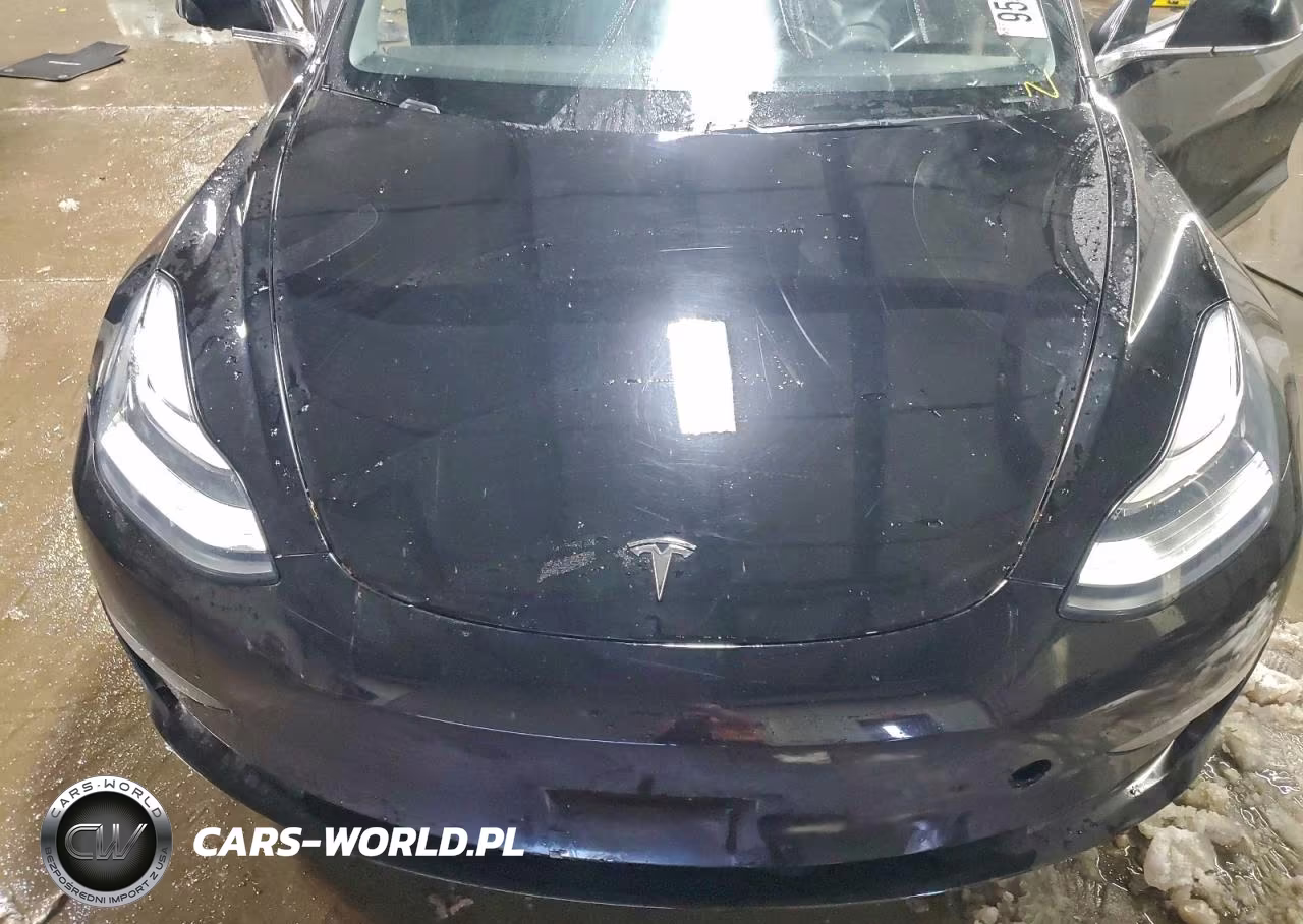 2020 Tesla Model 3 VIN:5YJ3E1ECXLF742063 - 11