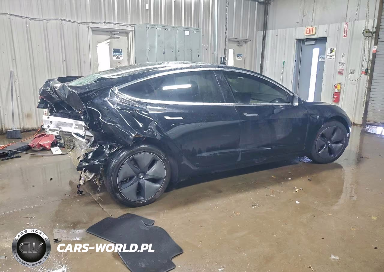 2020 Tesla Model 3 VIN:5YJ3E1ECXLF742063 - 3
