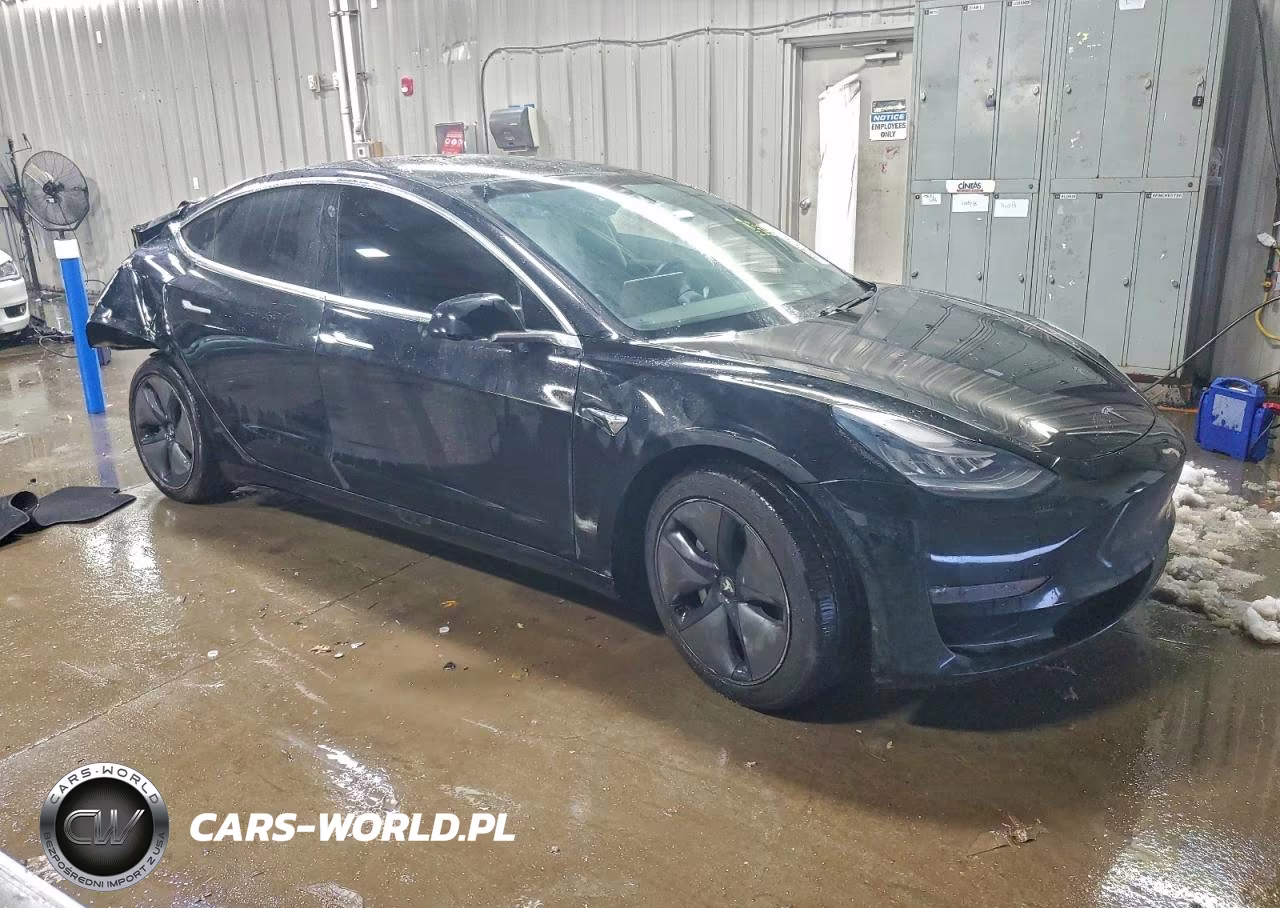 2020 Tesla Model 3 VIN:5YJ3E1ECXLF742063 - 4