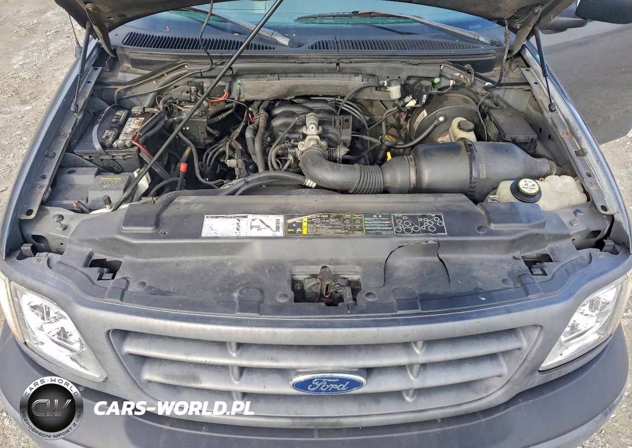 2002 Ford F-150 VIN:1FTRF17222NB50975 - 11