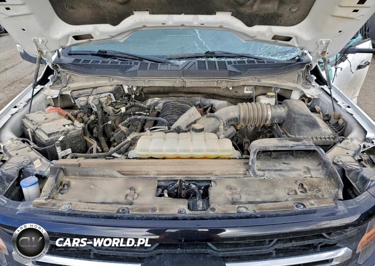 2024 Ford F150 Xlt VIN:1FTFW3L54RKD79586 - 11