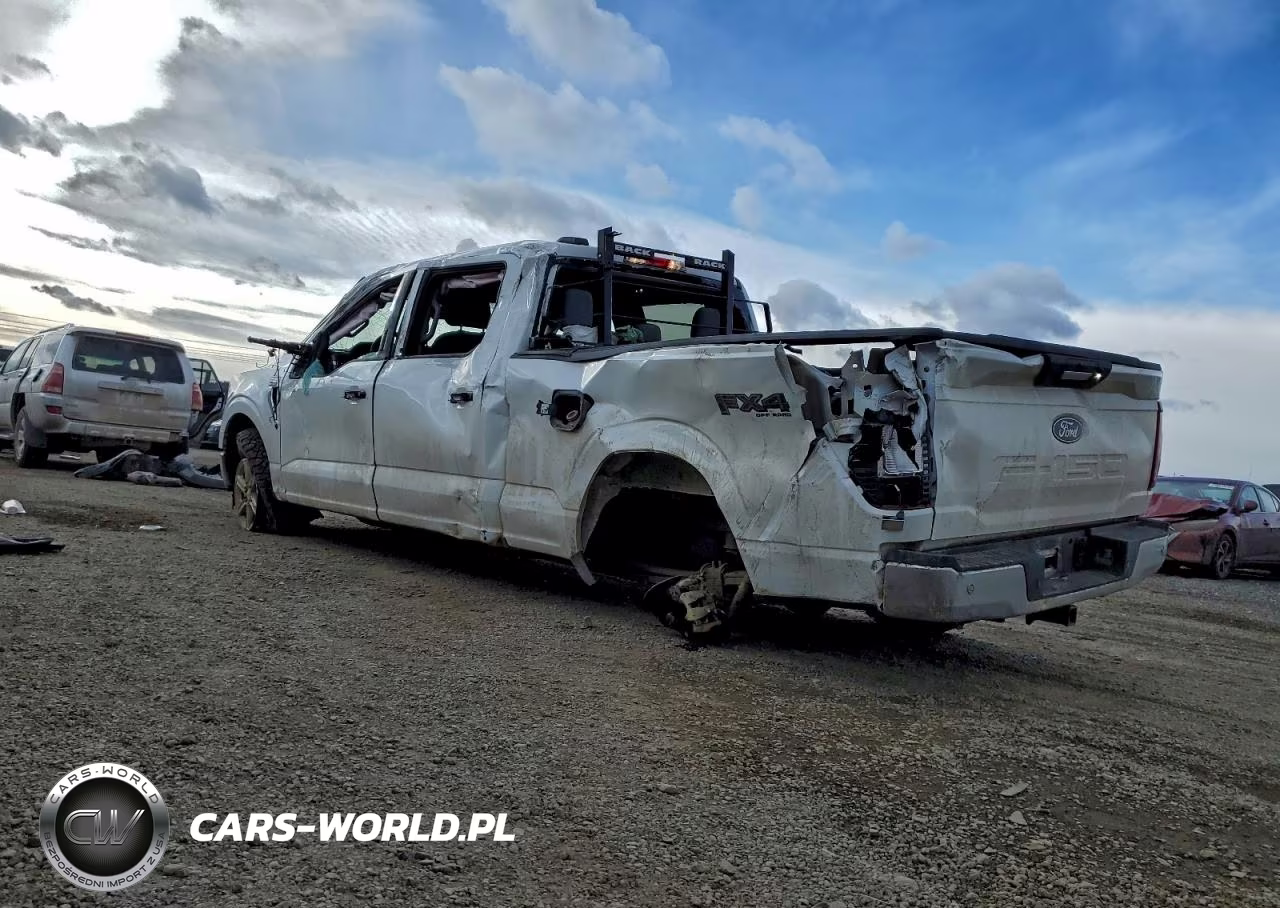 2024 Ford F150 Xlt VIN:1FTFW3L54RKD79586 - 2