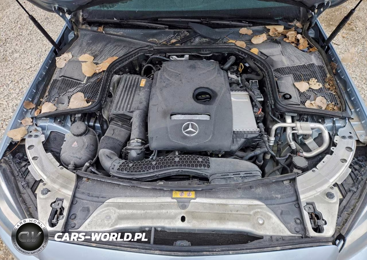 2018 Mercedes-Benz C 300 VIN:55SWF4JB3JU243822 - 11