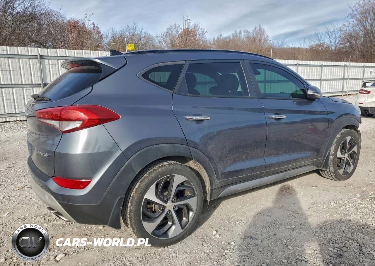 2017 Hyundai Tucson Limited VIN:KM8J33A24HU366914 - 3