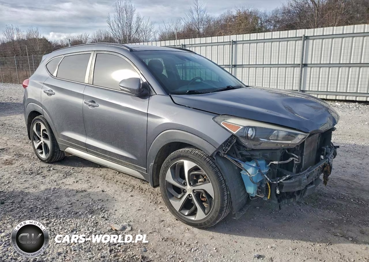 2017 Hyundai Tucson Limited VIN:KM8J33A24HU366914 - 4