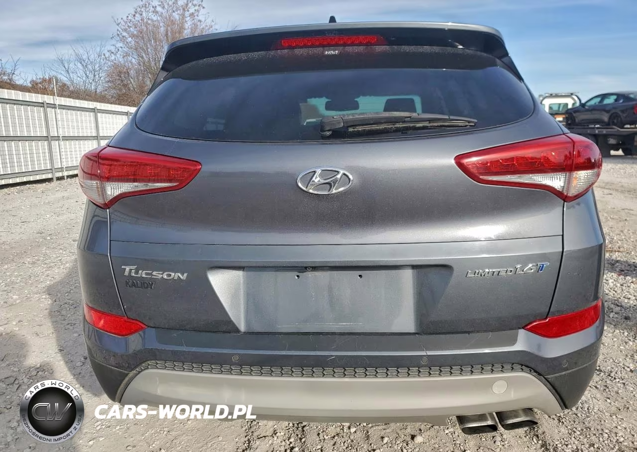 2017 Hyundai Tucson Limited VIN:KM8J33A24HU366914 - 6