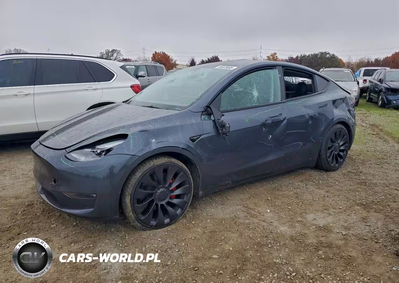 2023 Tesla Model Y