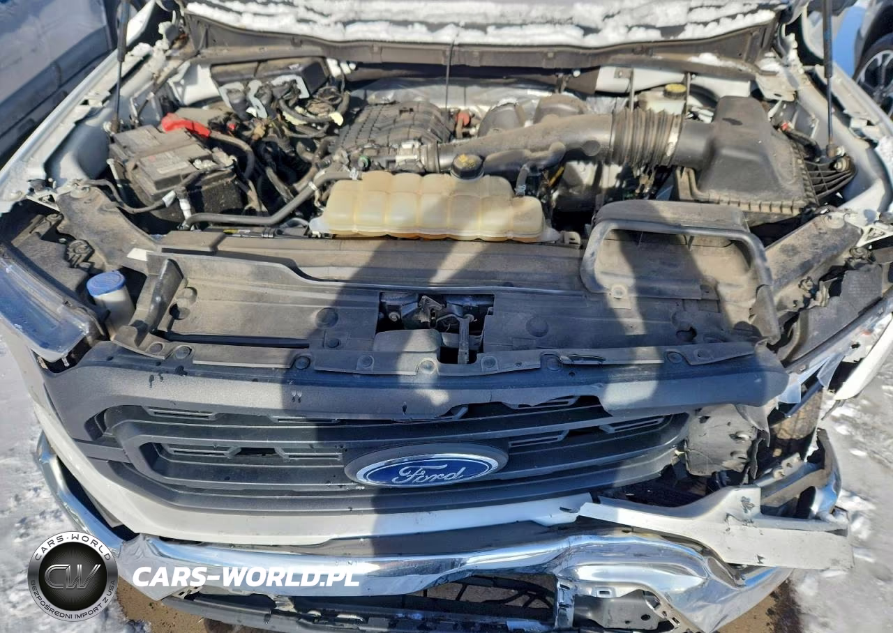 2023 Ford F150 VIN:1FTMF1EB2PKE13004 - 11