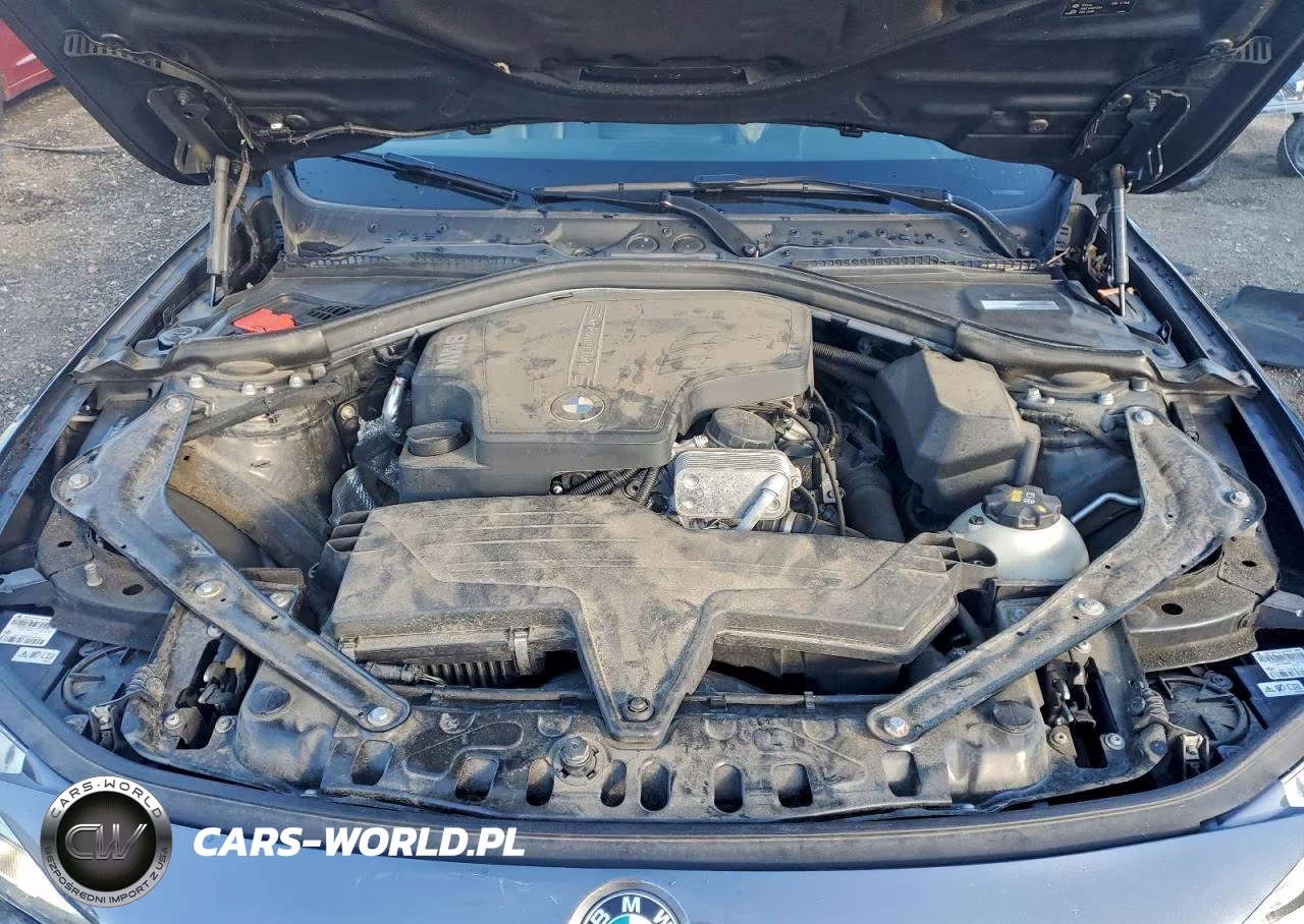 2016 BMW 428 Xi Sulev VIN:WBA3T1C51GP821334 - 11