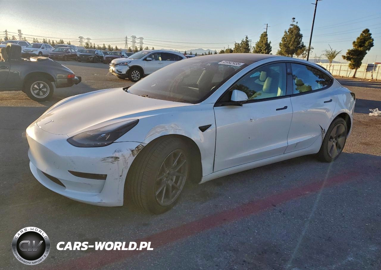 2021 Tesla Model 3