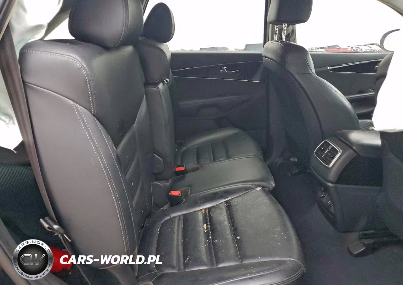 2020 Kia Sorento Ex V6 VIN:5XYPH4A50LG710832 - 10