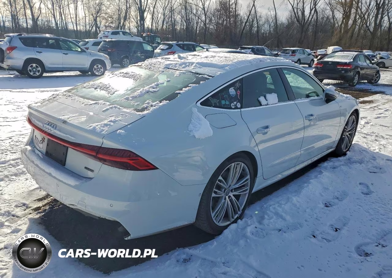 2019 Audi A7 Premium Plus S-Line VIN:WAUU2AF2XKN024707 - 3