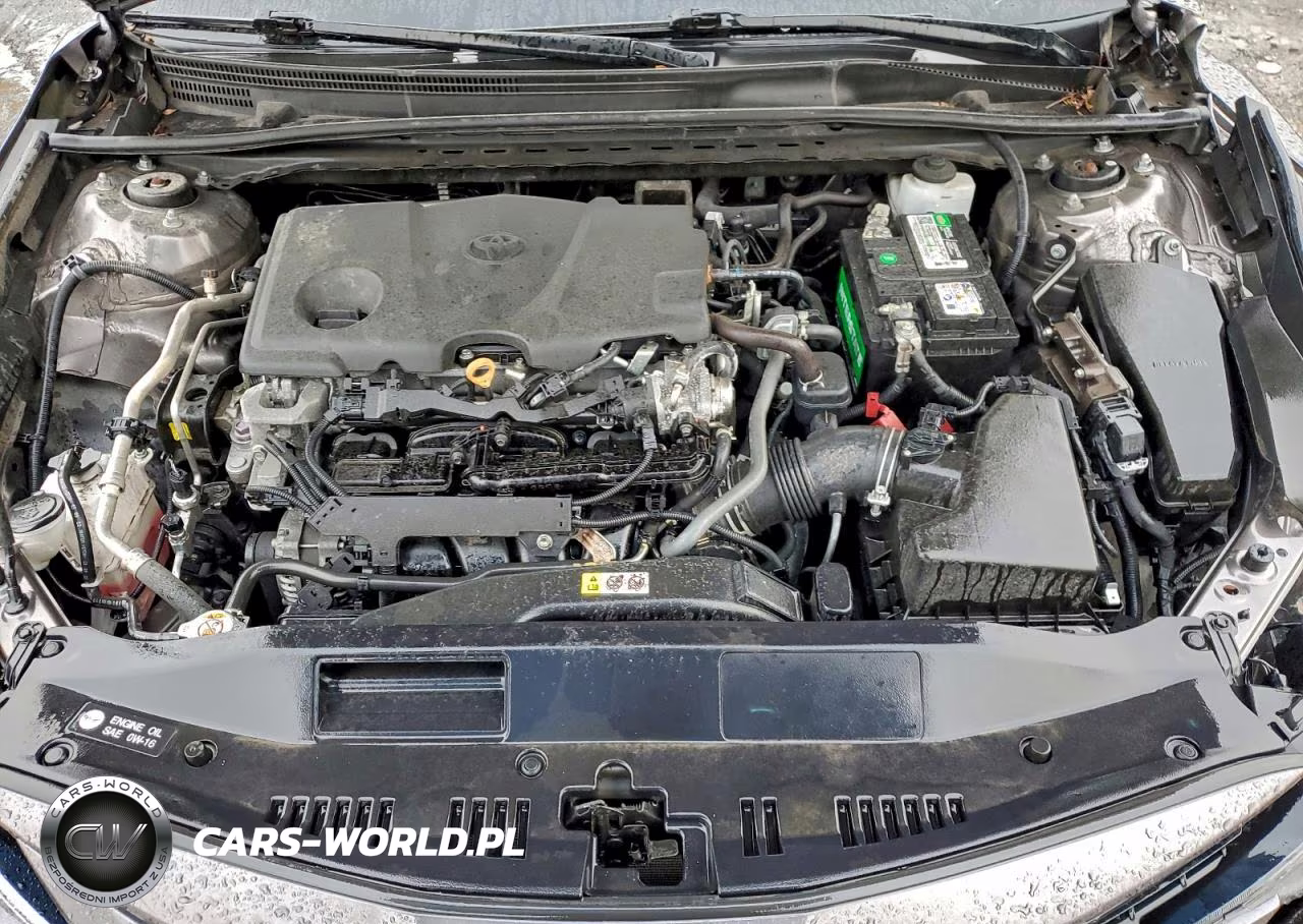 2023 Toyota Camry Le VIN:4T1C11BKXPU088052 - 11