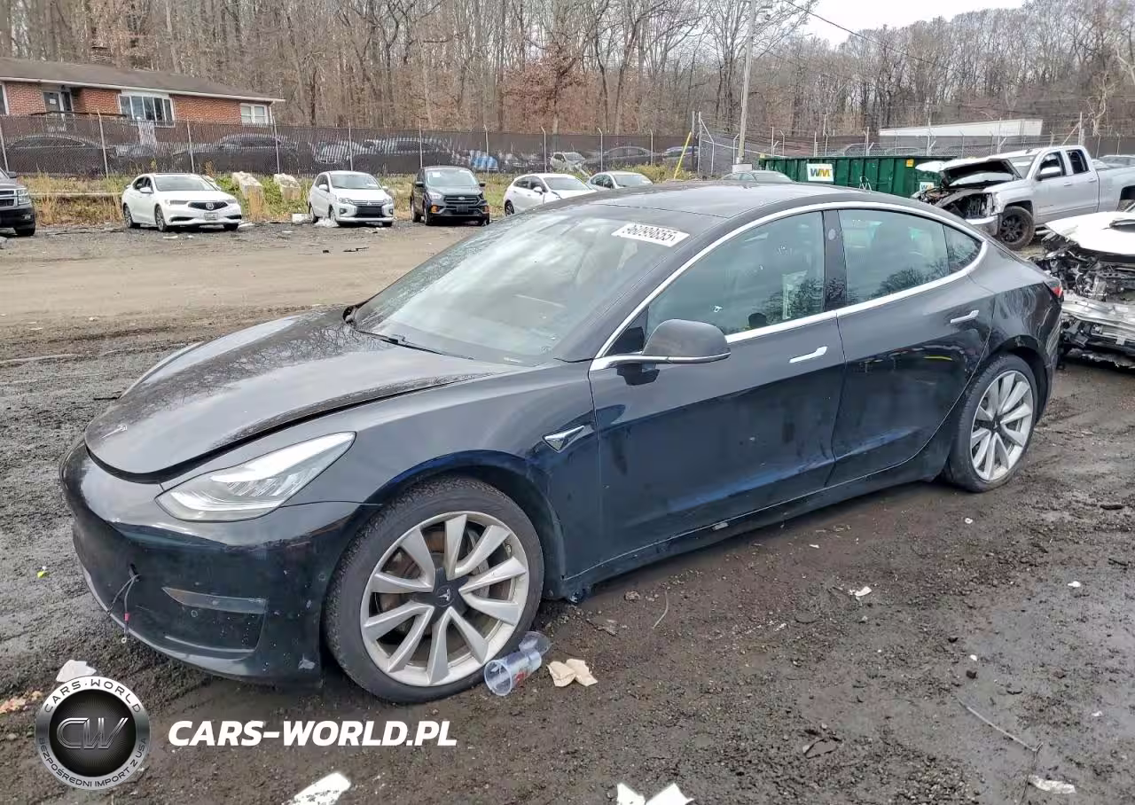 2019 Tesla Model 3