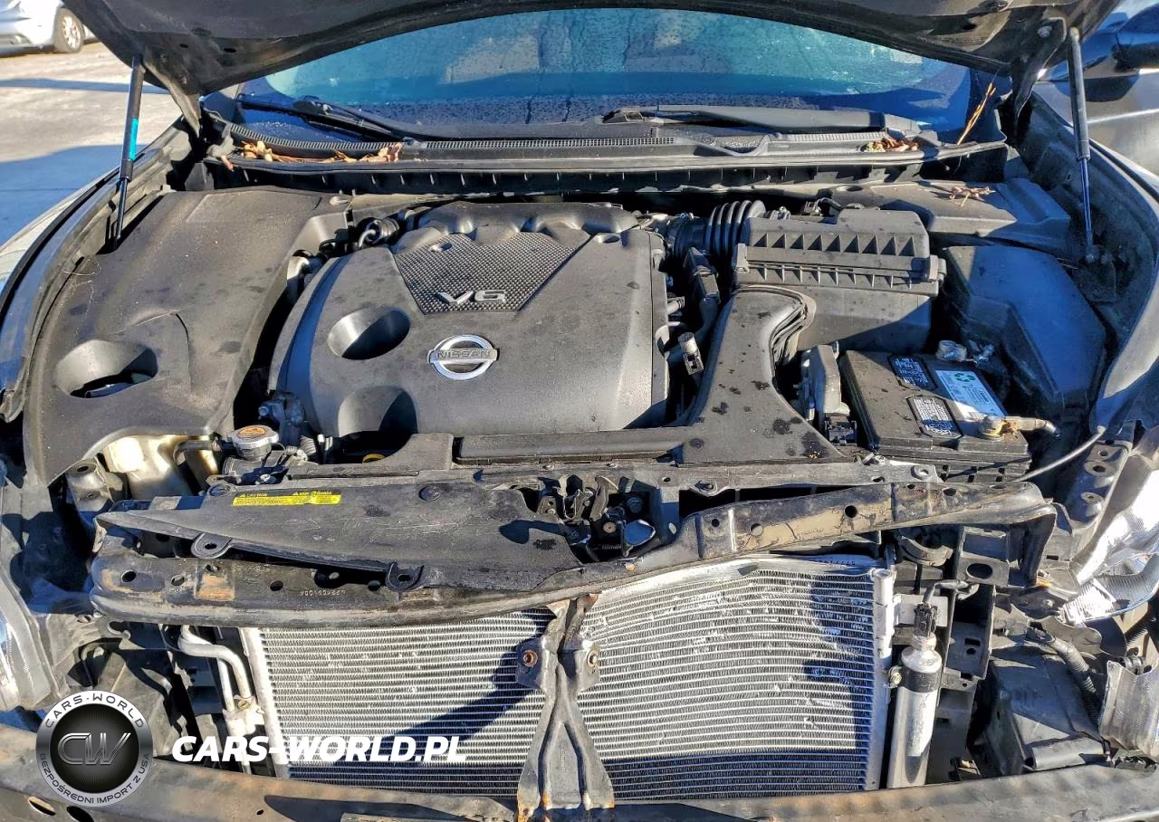 2009 Nissan Maxima S VIN:1N4AA51E99C853975 - 11