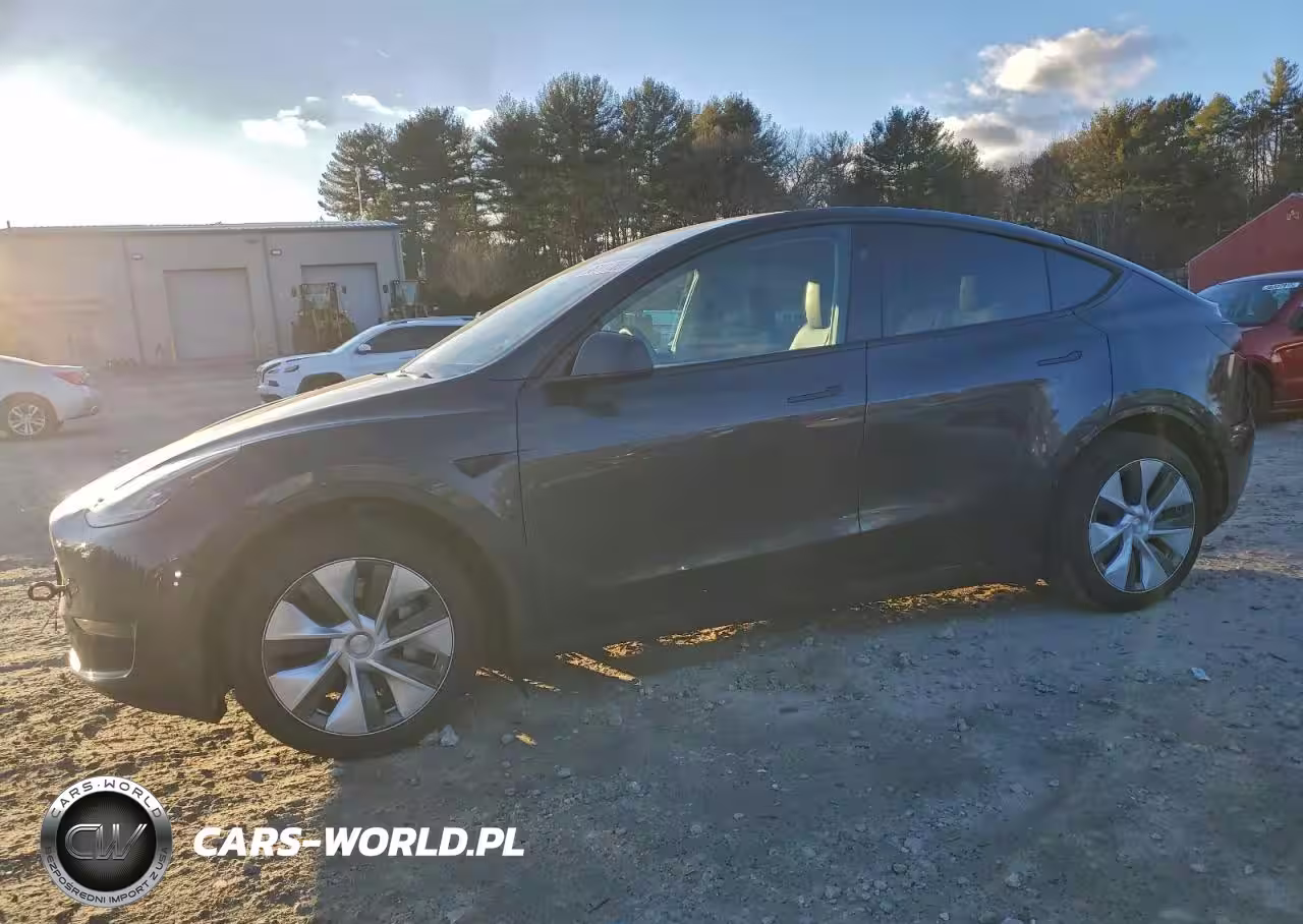 2024 Tesla Model Y