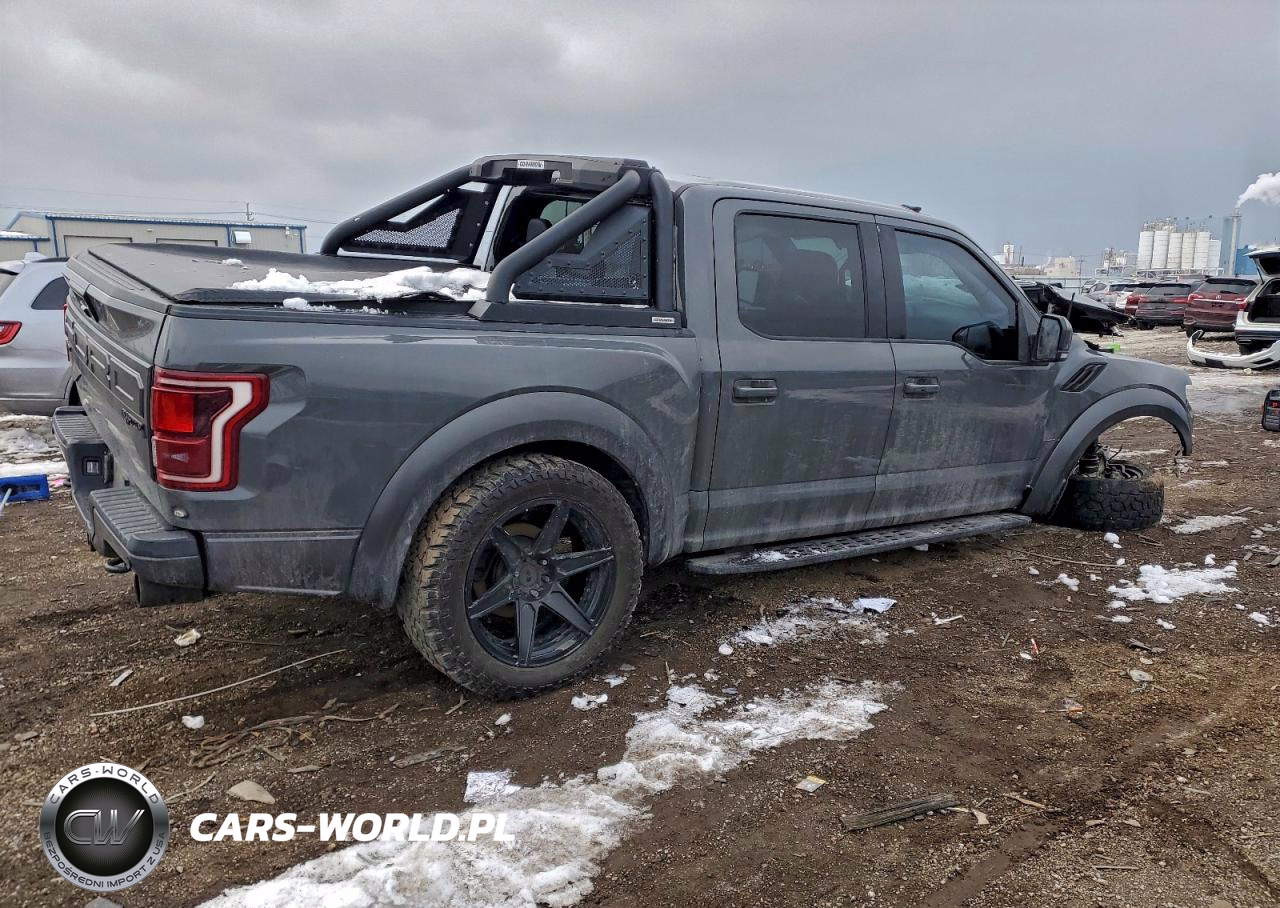 2018 Ford F150 Raptor VIN:1FTFW1RG8JFA04634 - 3