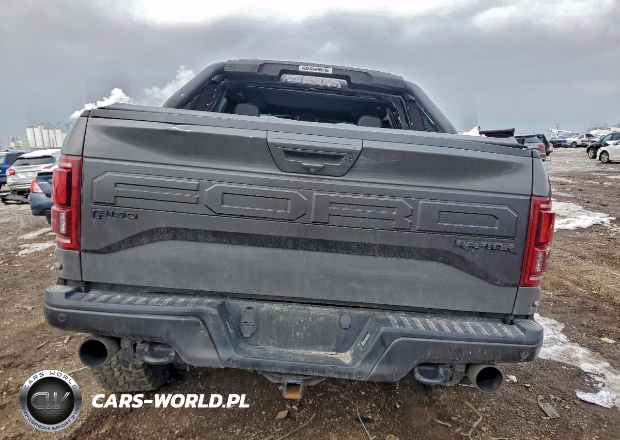 2018 Ford F150 Raptor VIN:1FTFW1RG8JFA04634 - 6