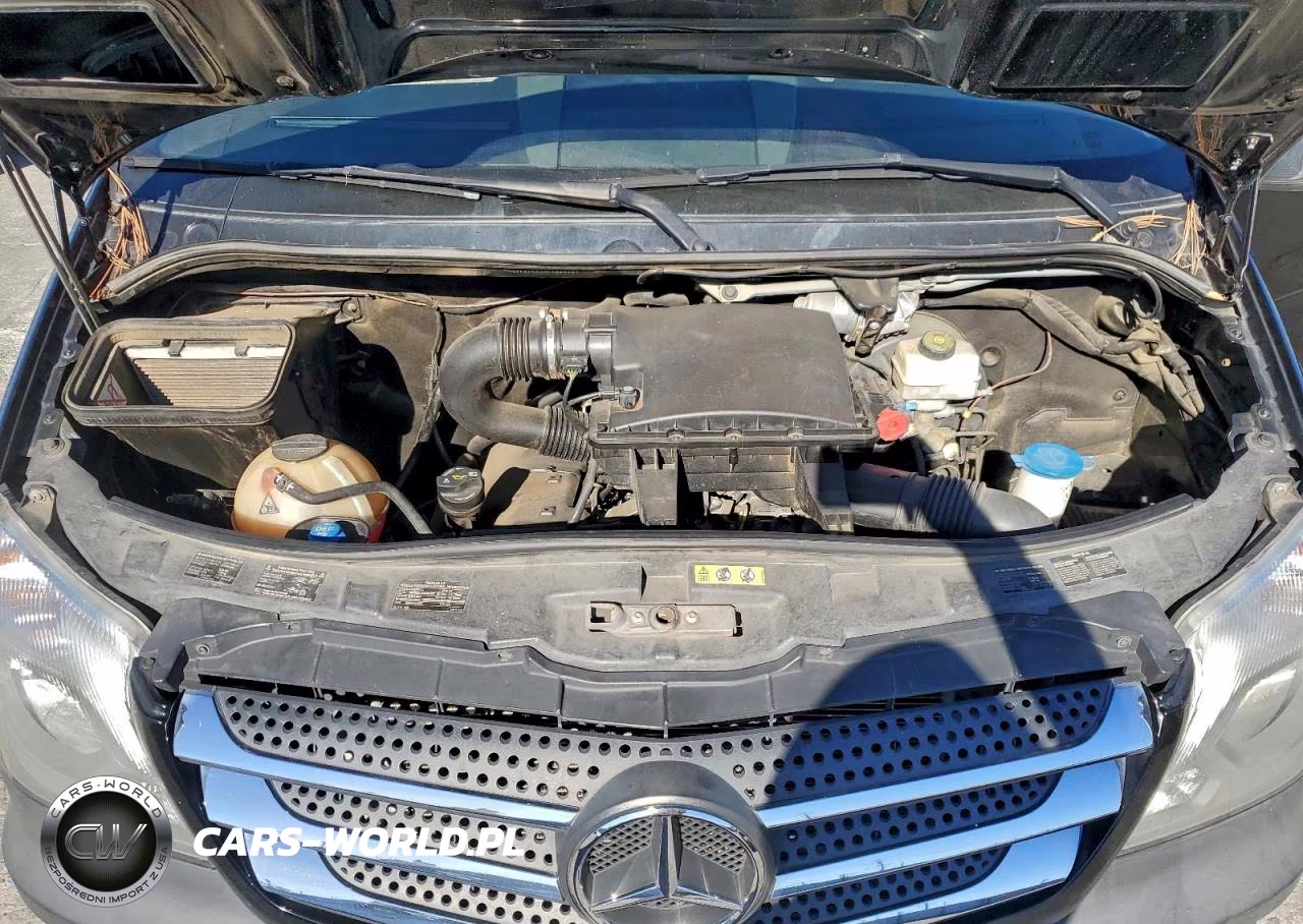 2016 Mercedes Benz Sprinter 2500 VIN:WDZPE7CD6GP186569 - 12