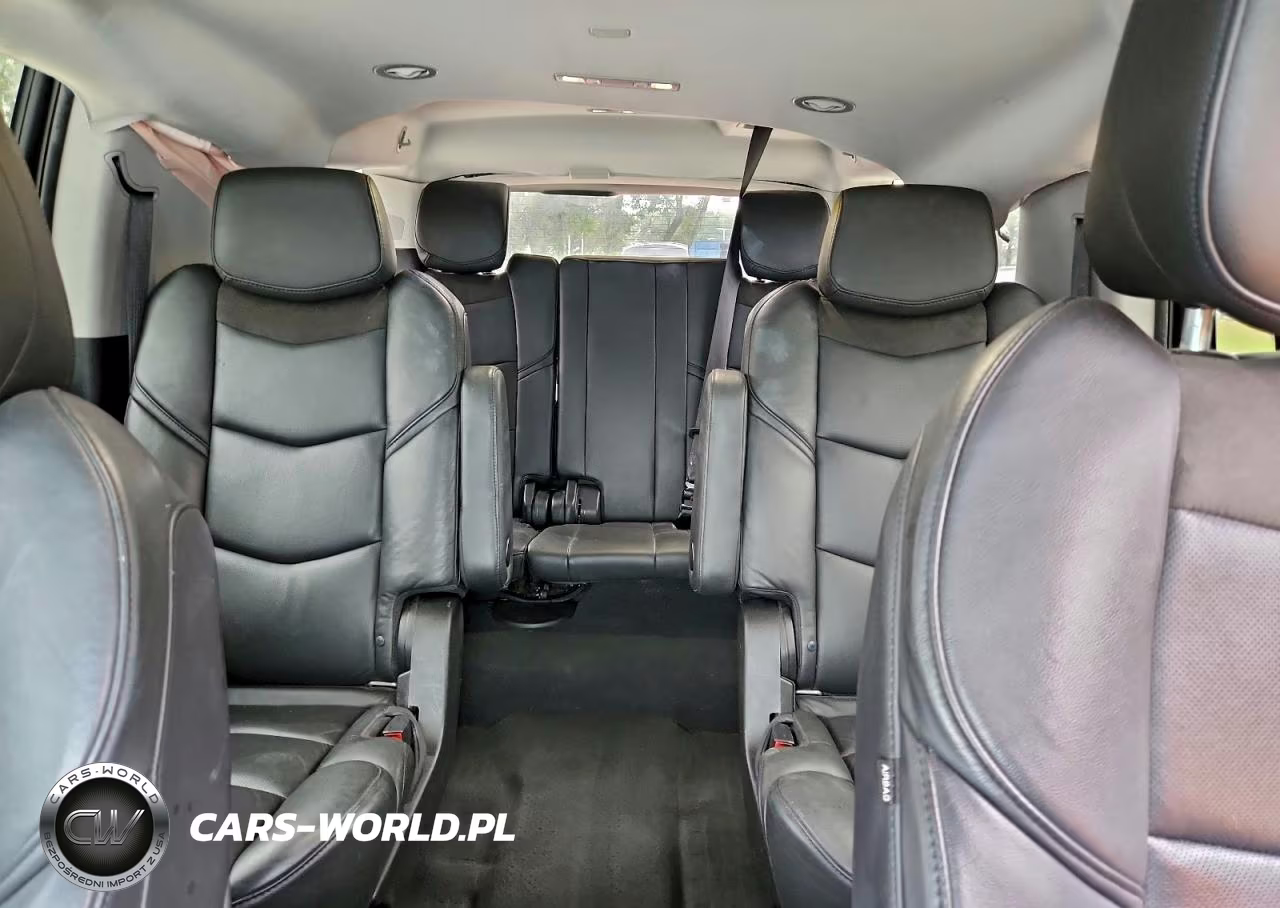 2019 Cadillac Escalade Esv Luxury VIN:1GYS4HKJ5KR270965 - 10