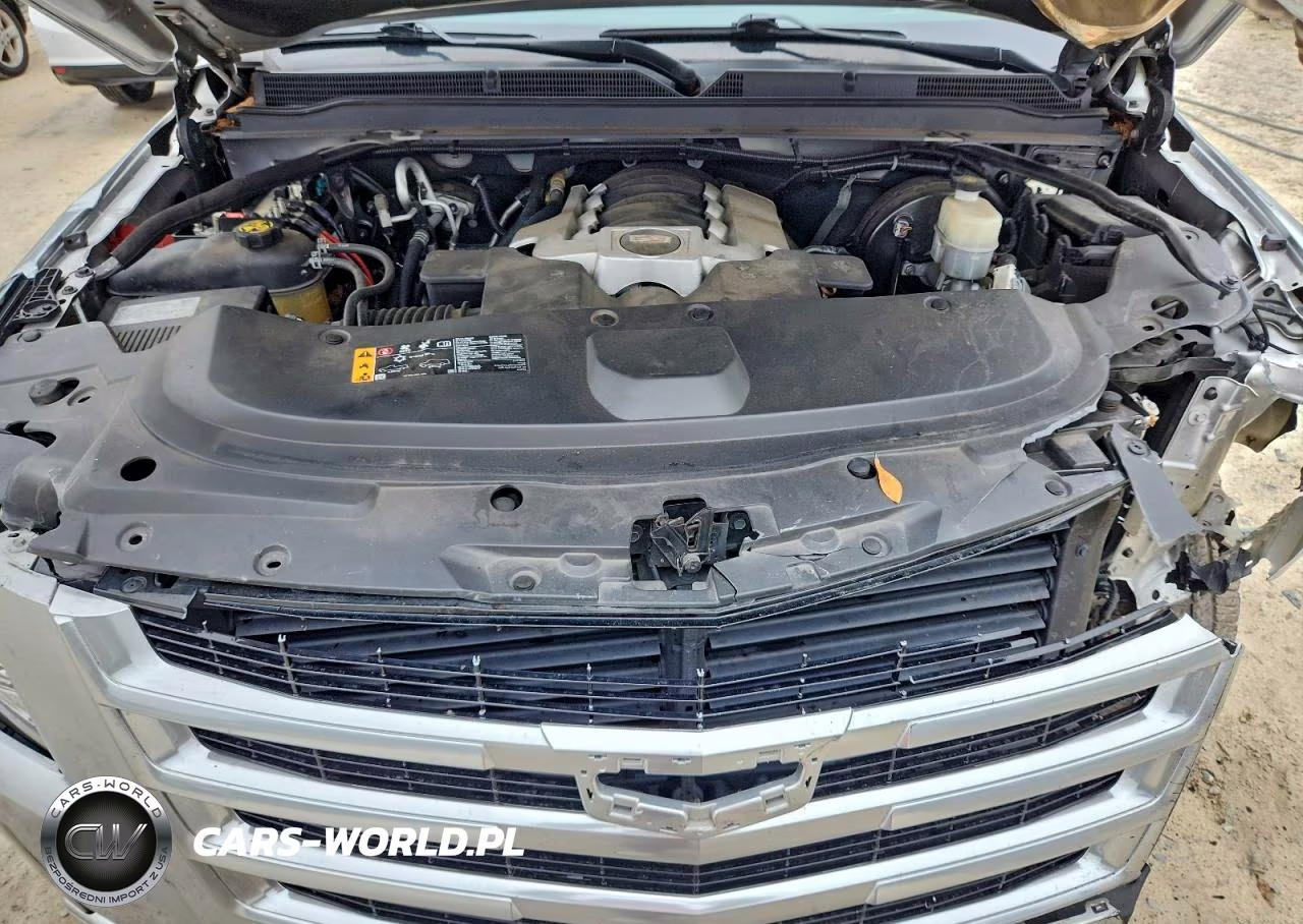 2019 Cadillac Escalade Esv Luxury VIN:1GYS4HKJ5KR270965 - 12