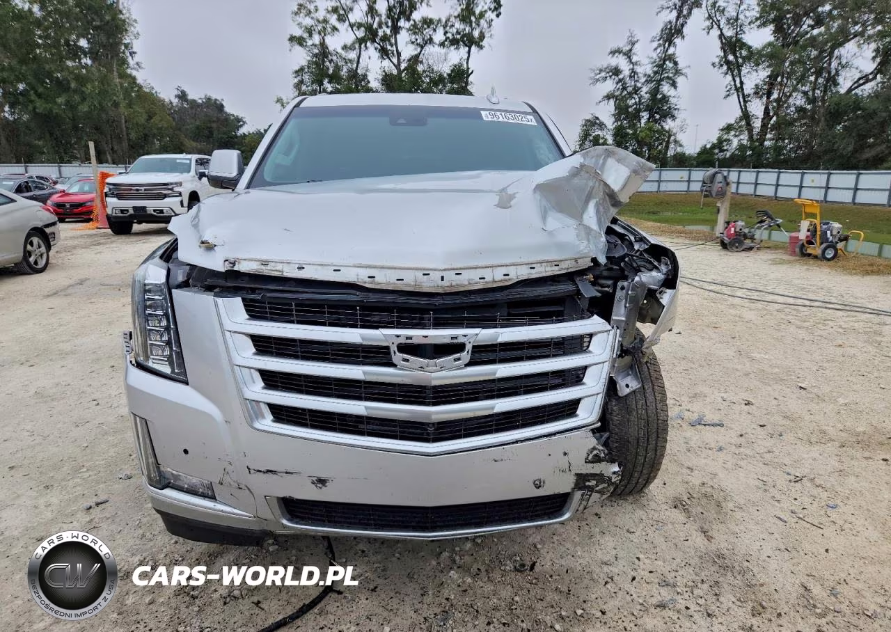 2019 Cadillac Escalade Esv Luxury VIN:1GYS4HKJ5KR270965 - 5