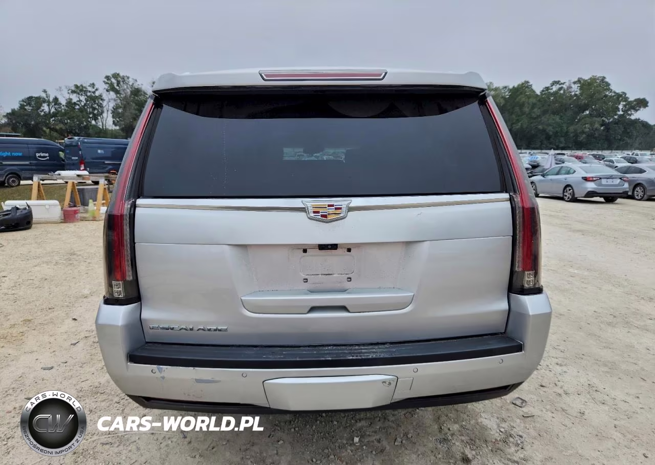 2019 Cadillac Escalade Esv Luxury VIN:1GYS4HKJ5KR270965 - 6