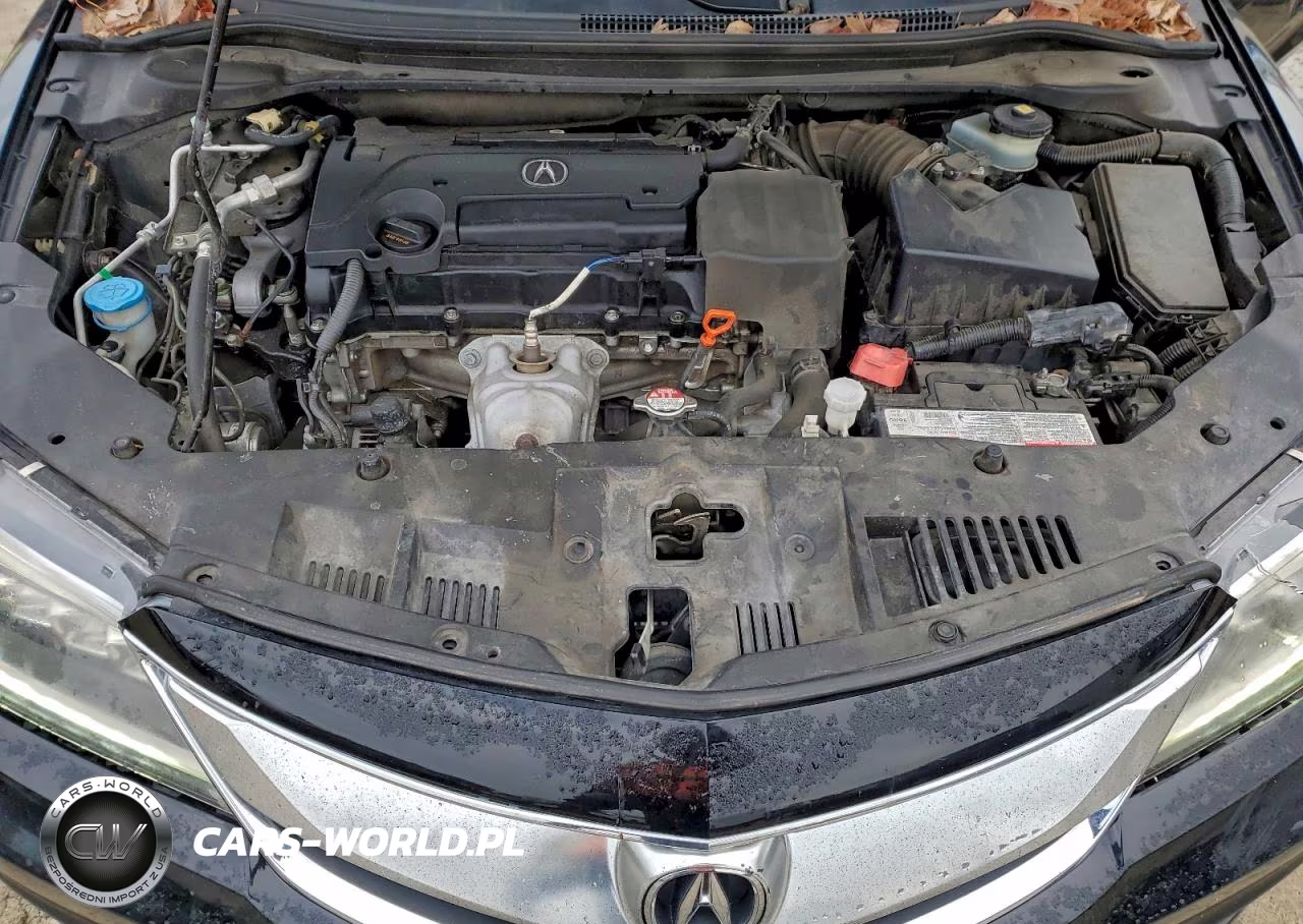 2018 Acura Ilx Premium VIN:19UDE2F82JA009307 - 11
