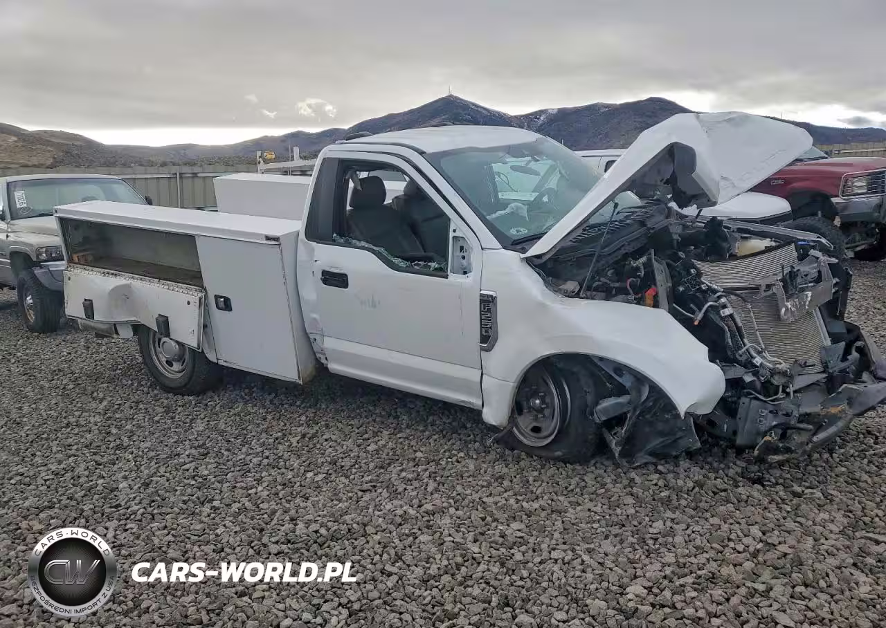 2022 Ford F250 Sd 2Wd V8 Ffv Reg Cab 6.2L Xl Utility - Service Body VIN:1FDBF2A69NEE23459 - 4